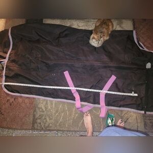 Large Horse Blanket Purple And Black
